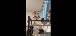 深夜突发！日本福岛附近7.3级地震，有核电站停止运转！中概股大奇迹日，飙升100%！房地产税改革试点