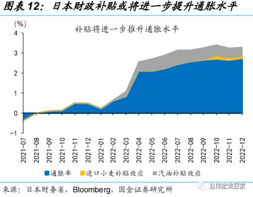日央行“意外”上调YCC，冲击几何？（国金宏观·赵伟团队）
